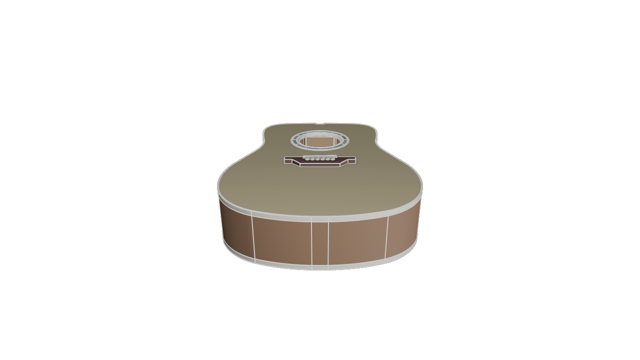 Acoustic Guitar Body
